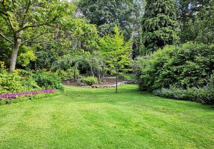 Optimiser l'expérience du jardin à Ampilly-le-Sec